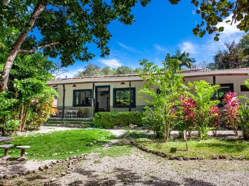 Commercial at Nosara