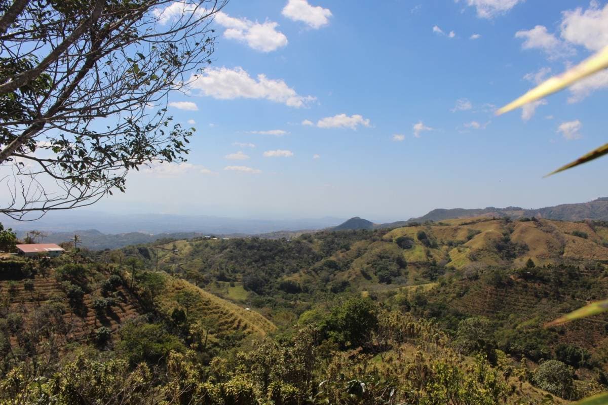 Finca en Estanquillos