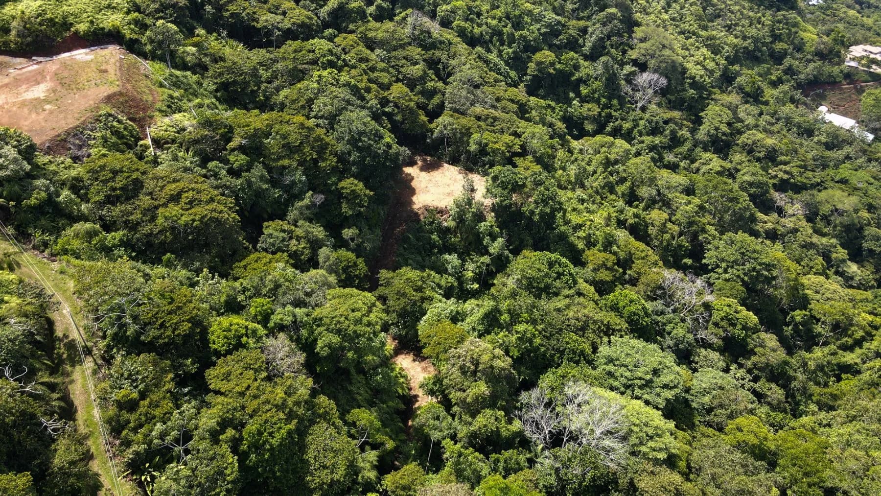 Land at Bahía Ballena