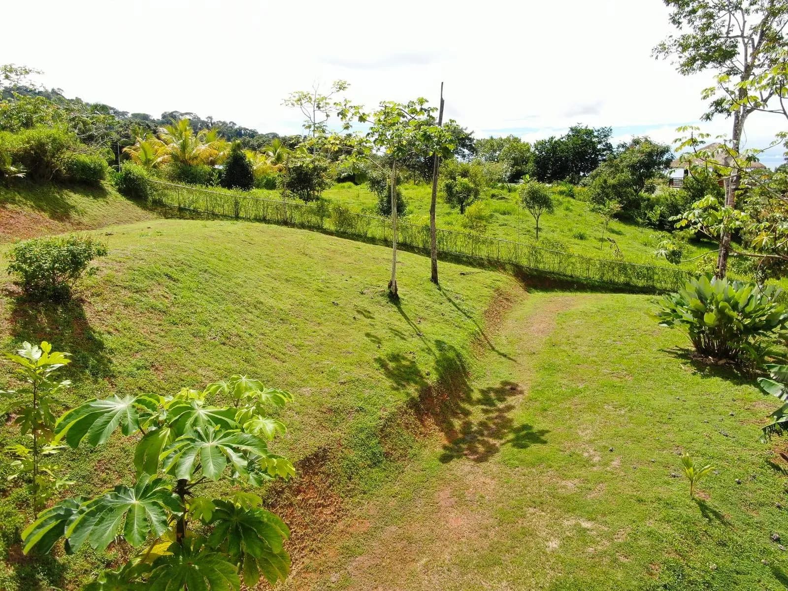 Terreno en Bahía Ballena