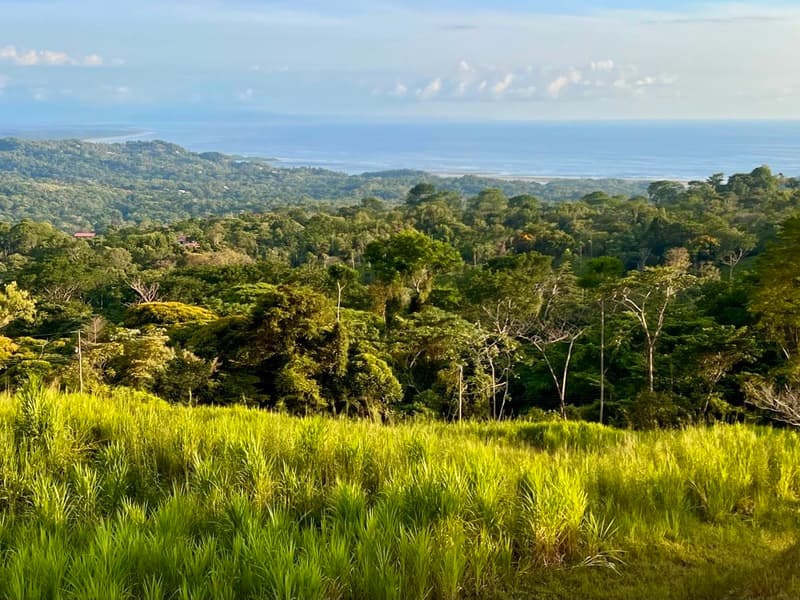 Terreno en Bahía Ballena