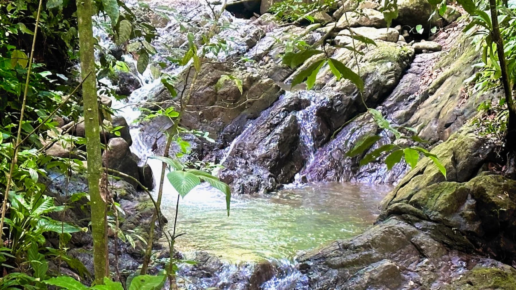 Terreno en Bahía Ballena