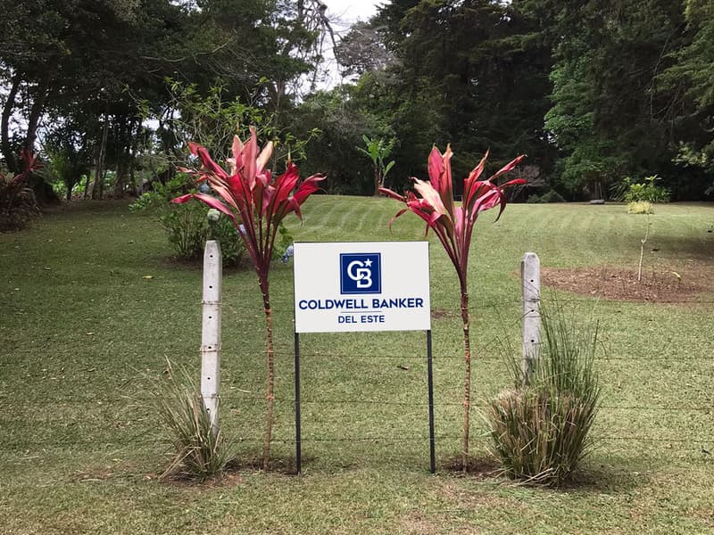 Terreno en San Rafael