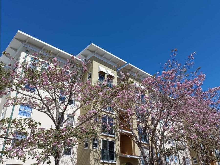 Apartamento en San Pablo