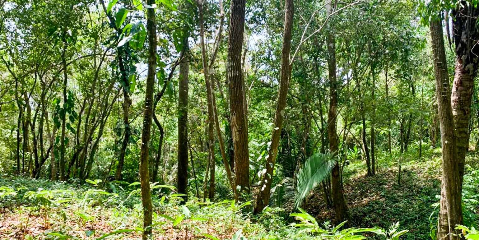 Propiedad en Cóbano