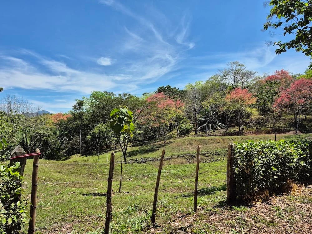 Terreno en Cóbano