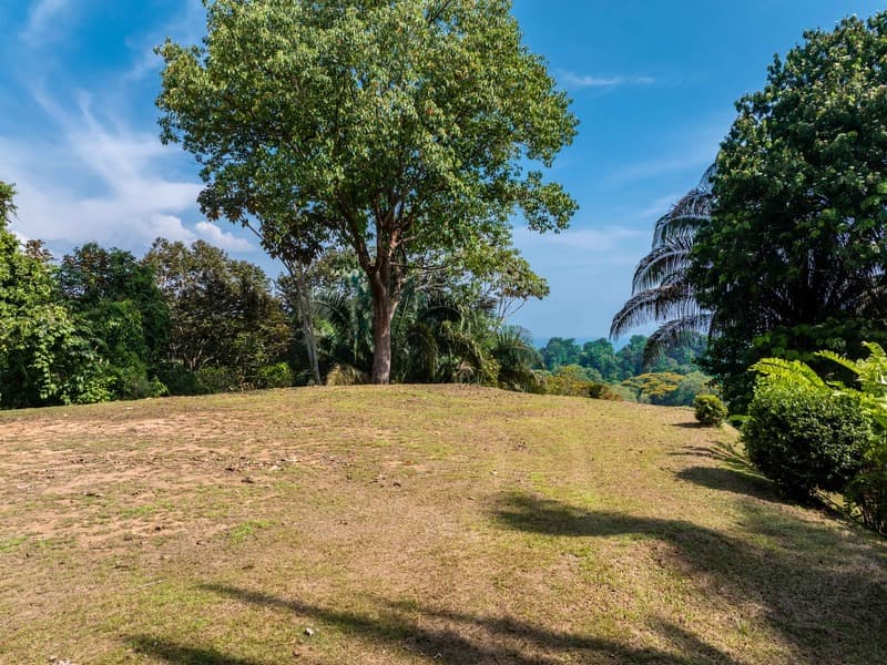 Terreno en Bahía Ballena