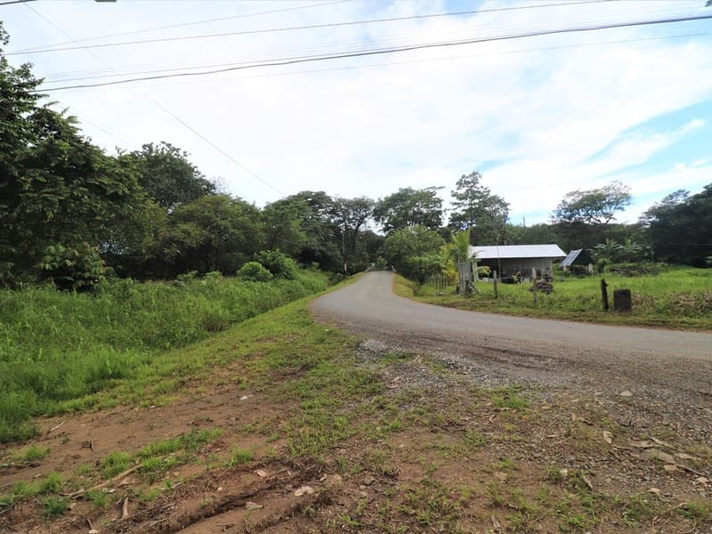Terreno en Bahía Ballena