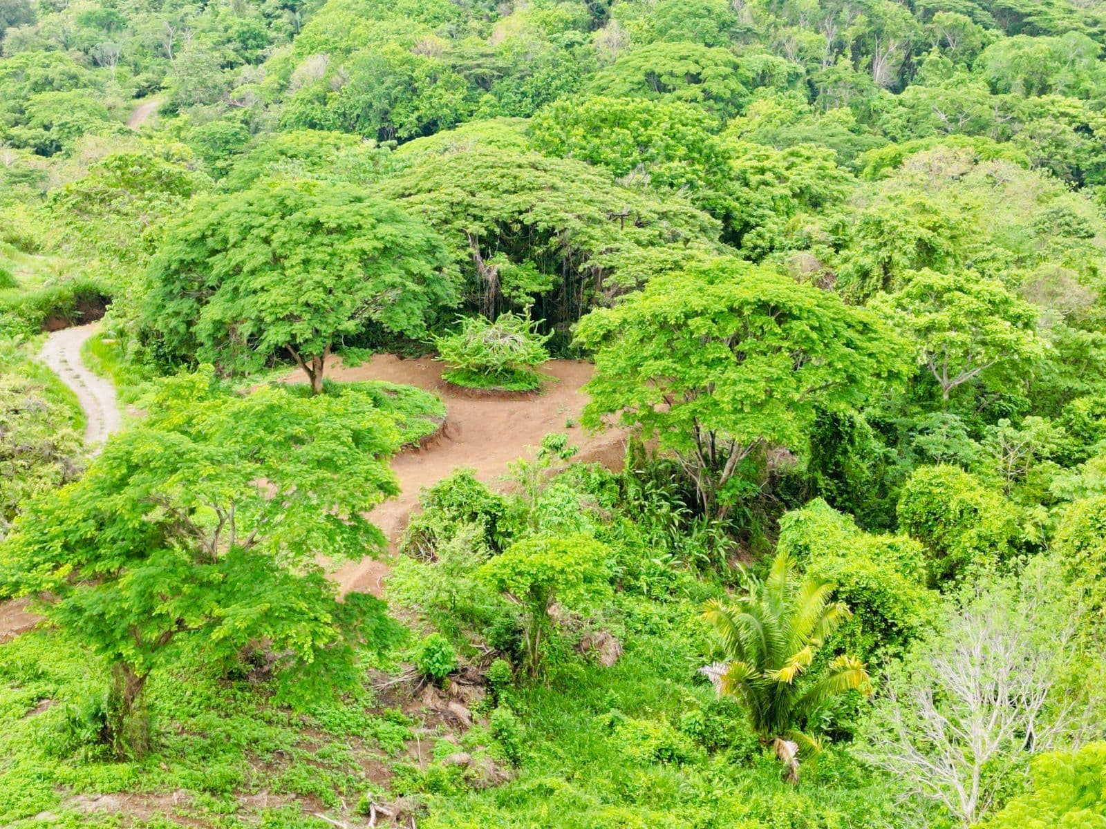 Terreno en Cóbano