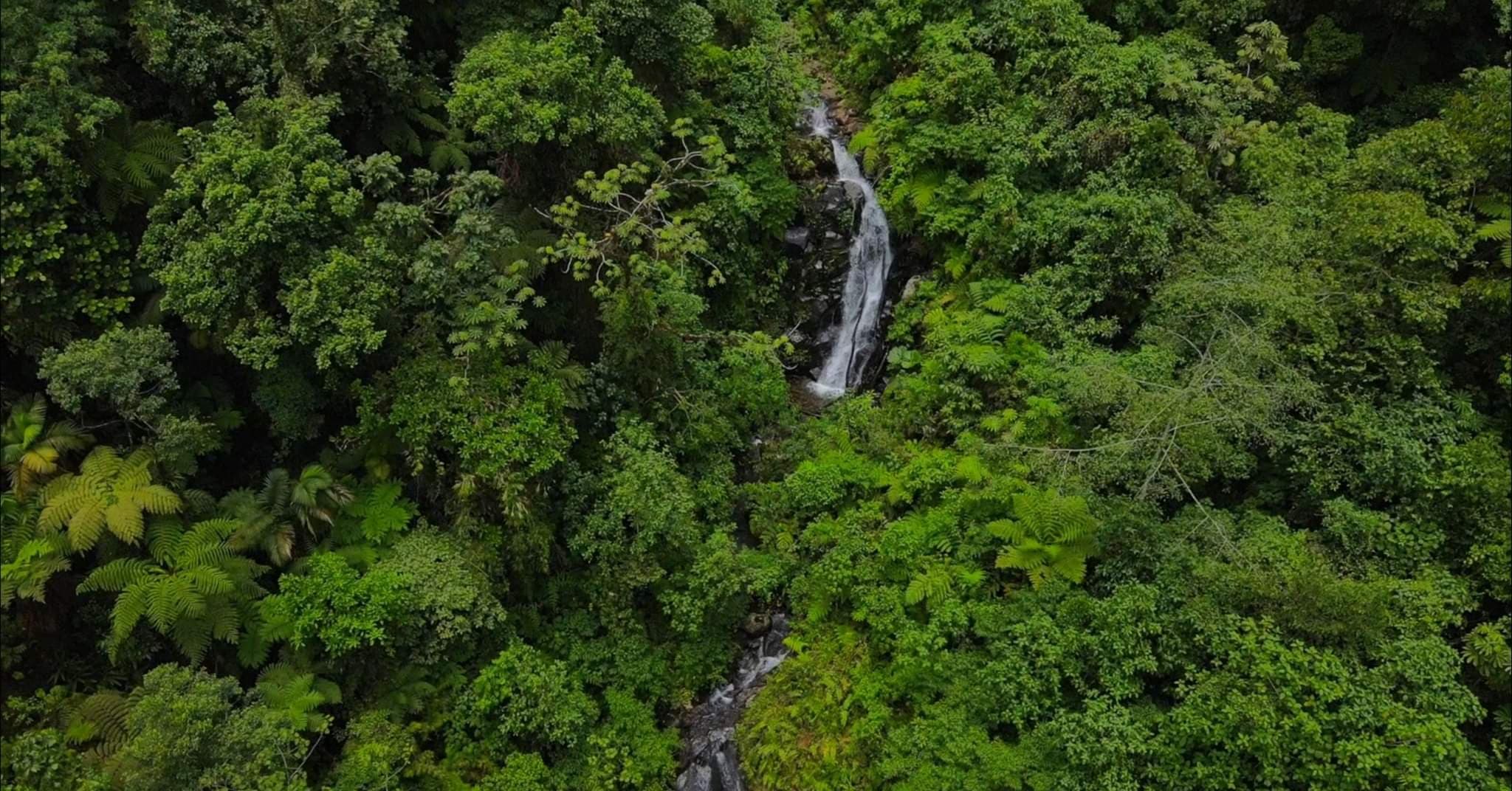 Estate at Varablanca