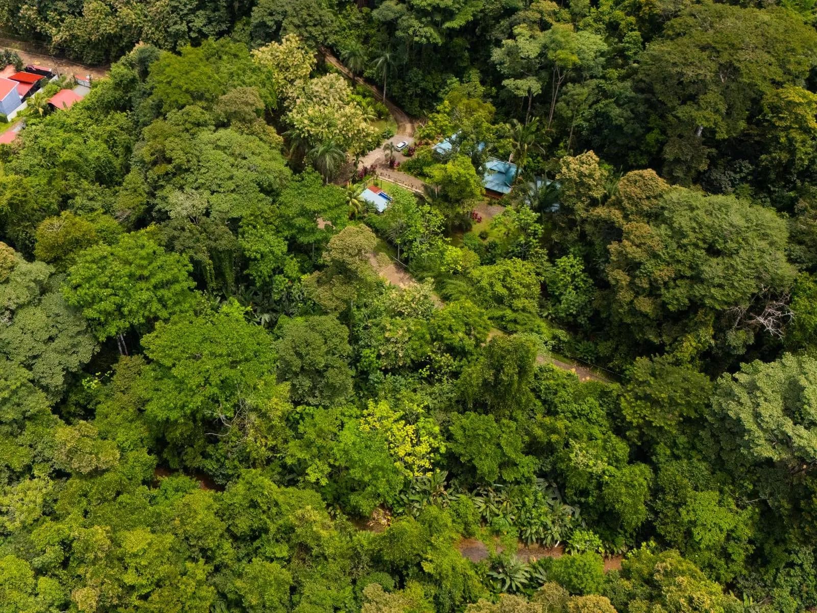 Comercial en Bahía Ballena