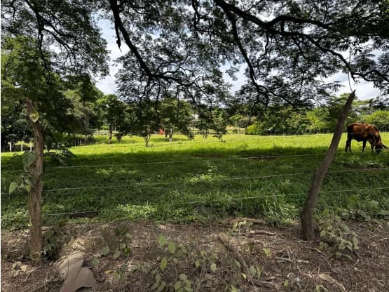 Propiedad en Alajuela