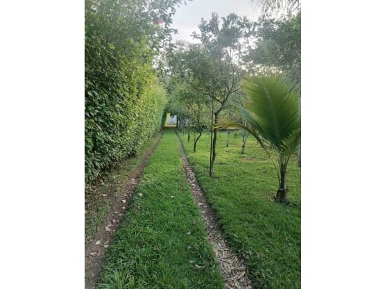 Propiedad en Paraíso