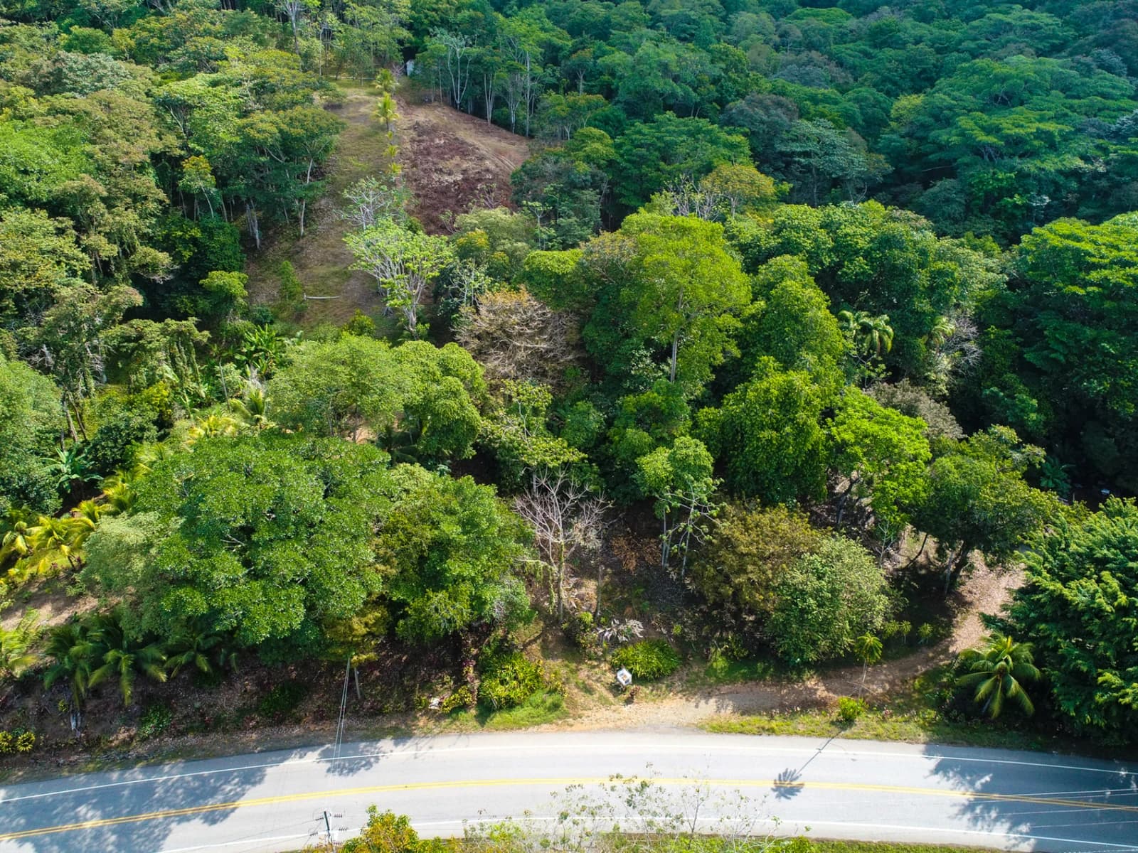 Terreno en Bahía Ballena