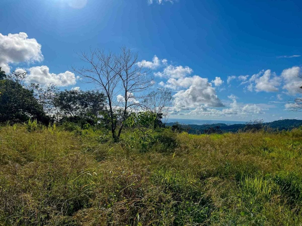 Property at Puerto Cortés