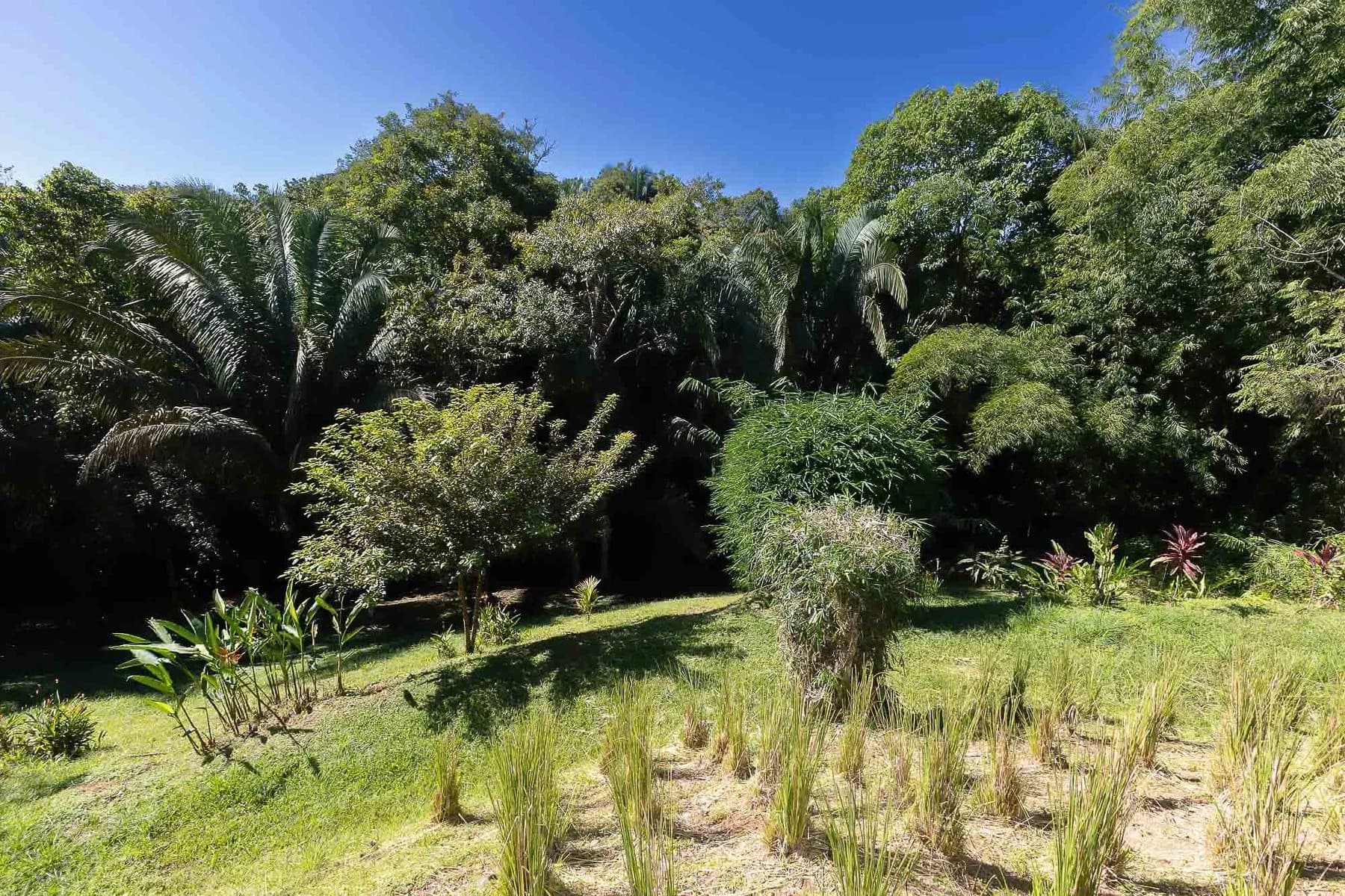 House at Quepos