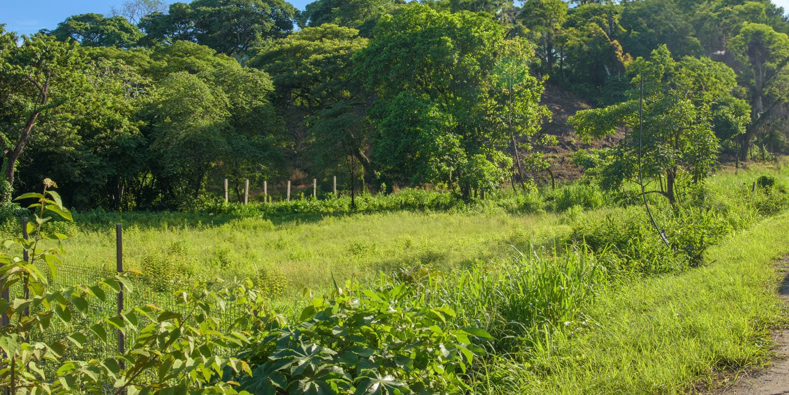 Property at Nosara