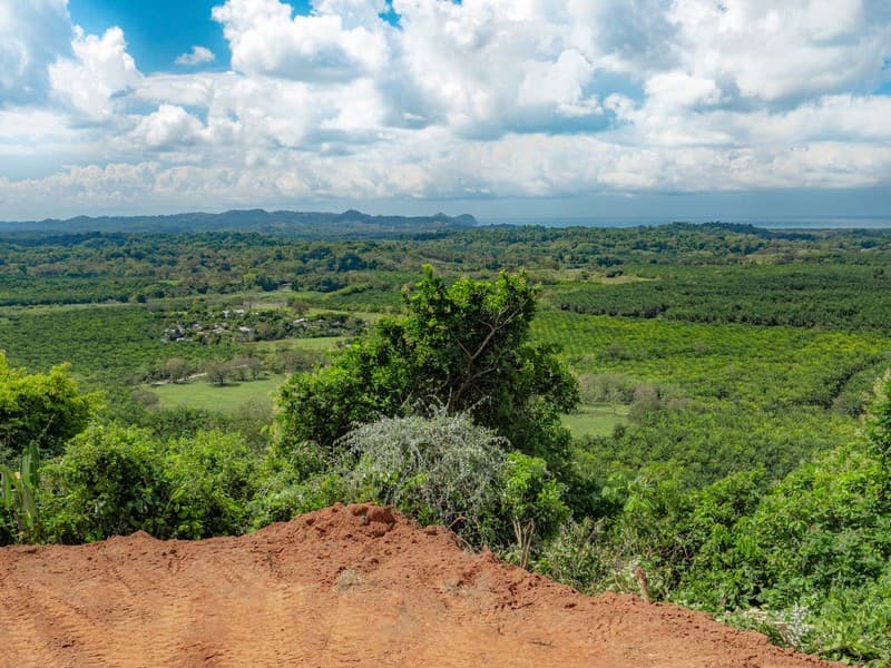 Terreno en Naranjito