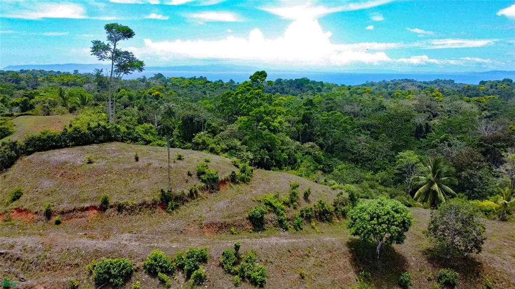 Propiedad en Guaycará