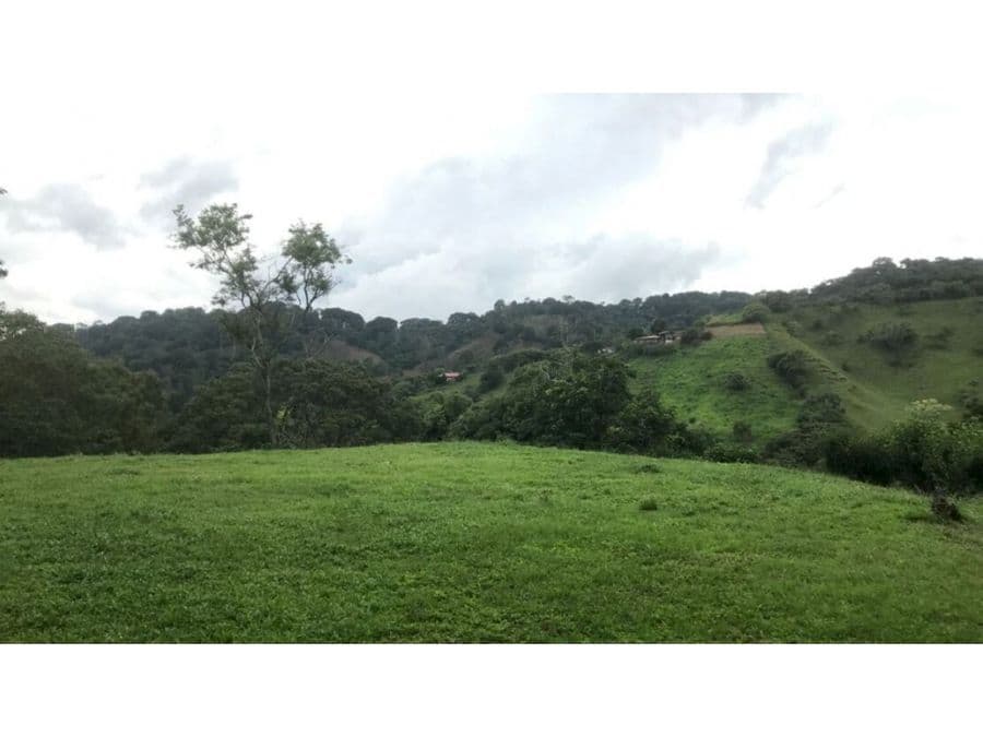 Propiedad en Alajuela