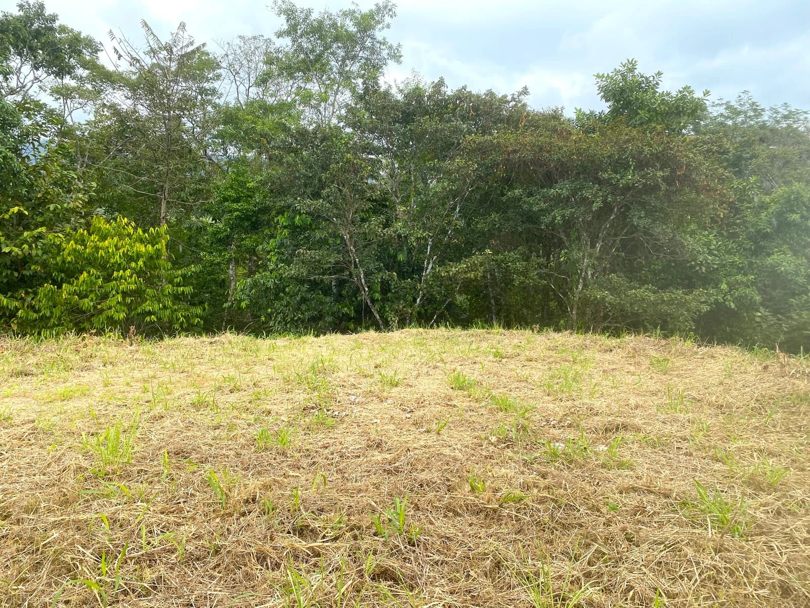 Terreno en Puerto Cortés