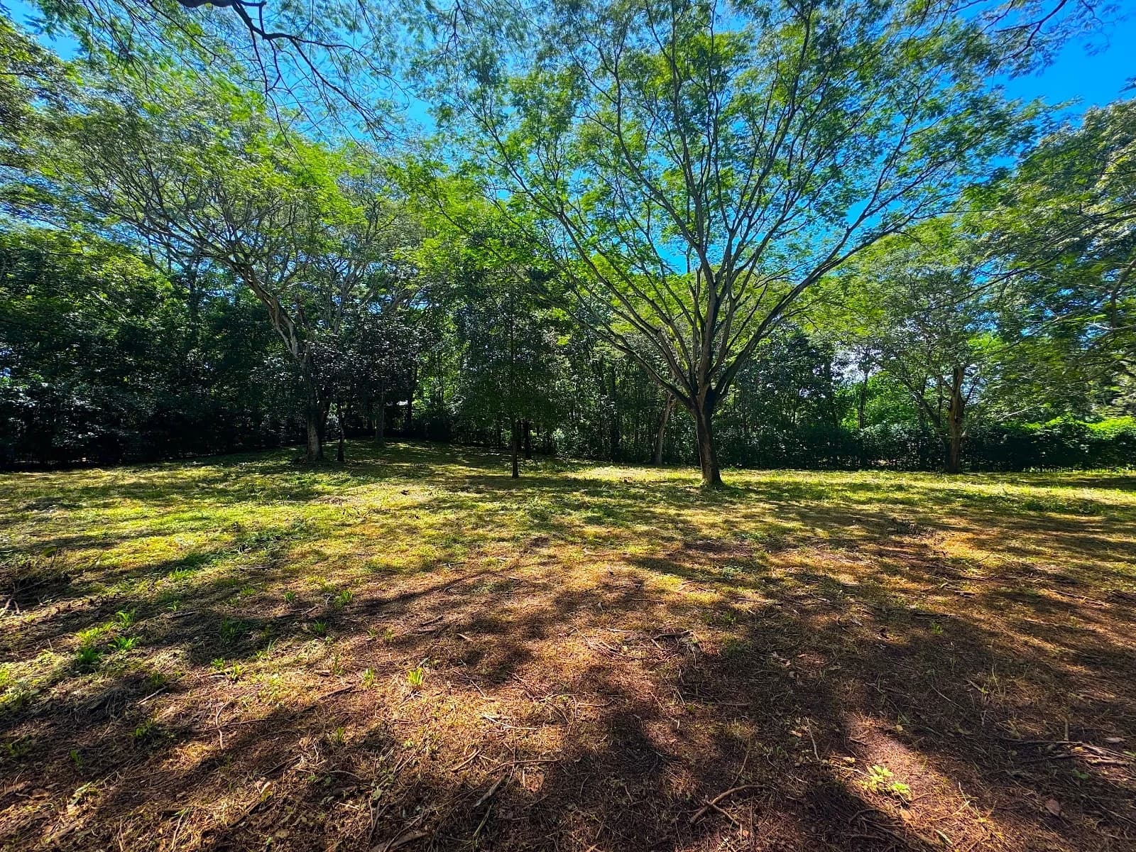 Terreno en Santa Cruz