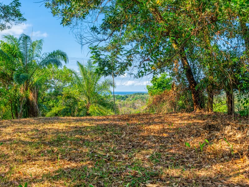 Land at Bahía Ballena