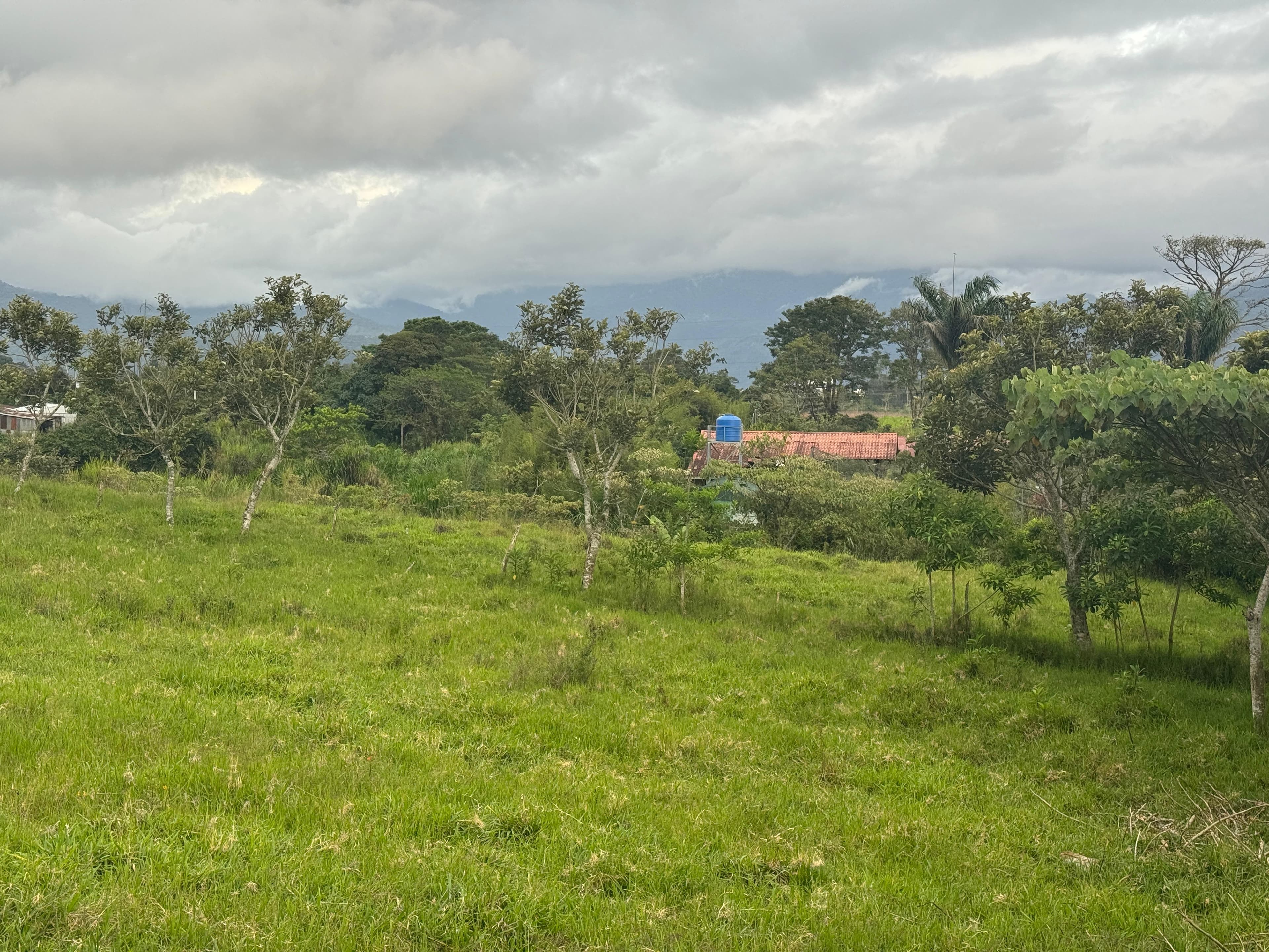 Terreno en San Rafael