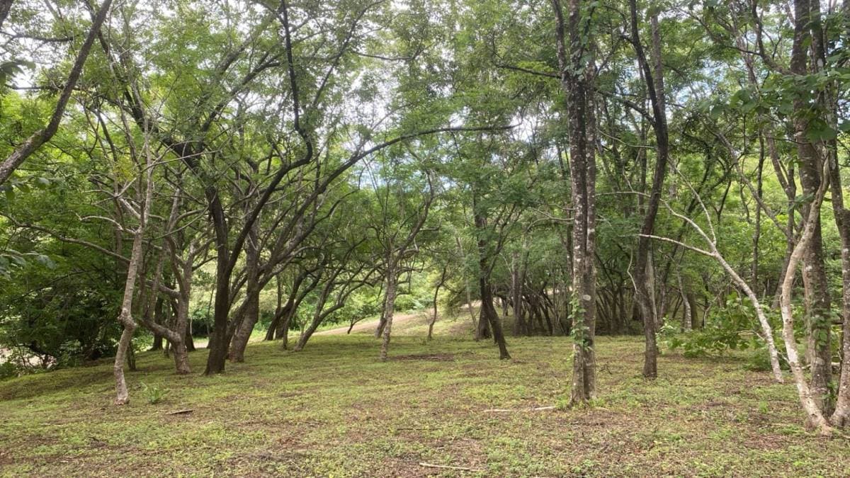 Propiedad en Tamarindo