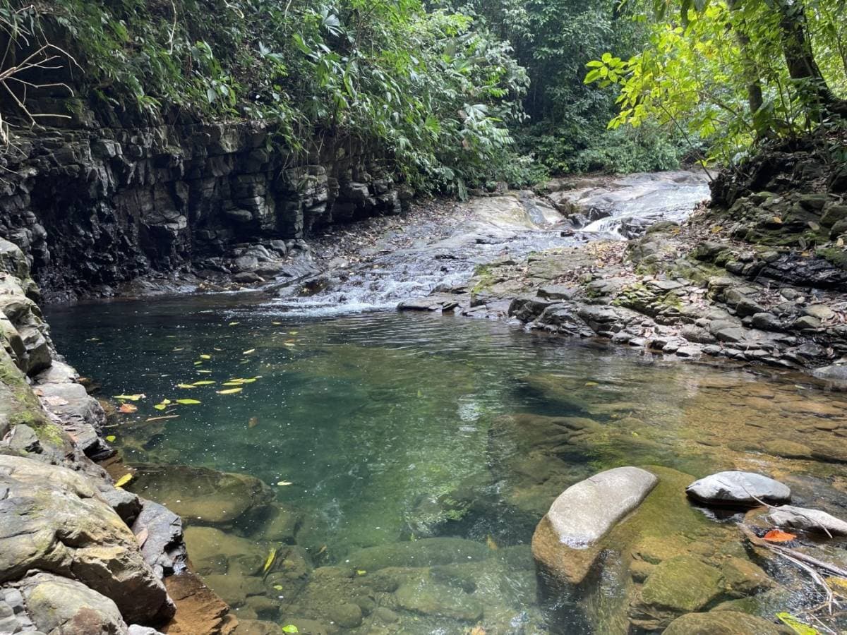 Property at Matapalo