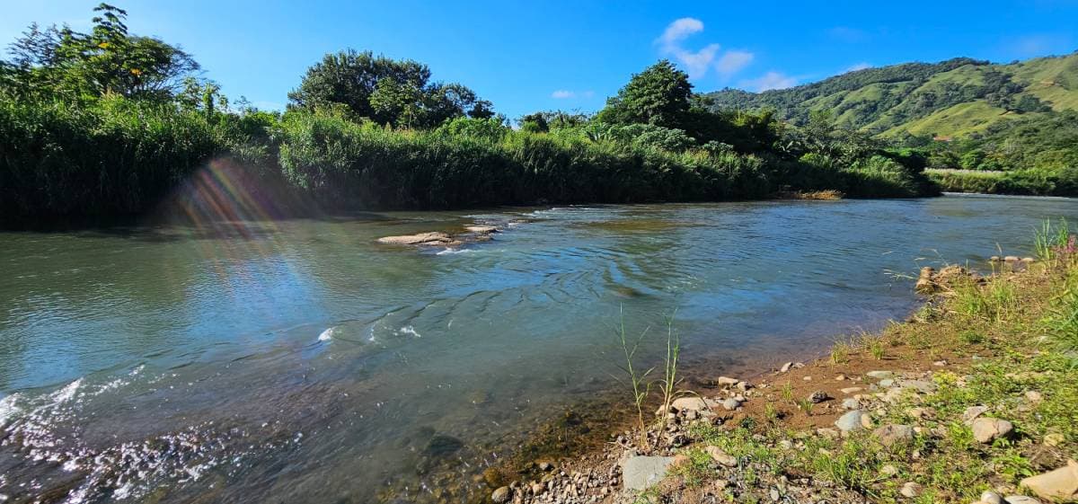 Property at San Isidro del General