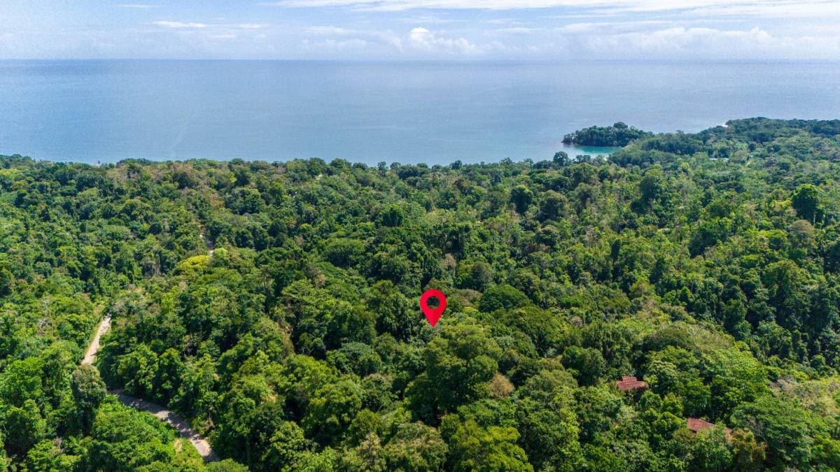 Propiedad en Punta Uva