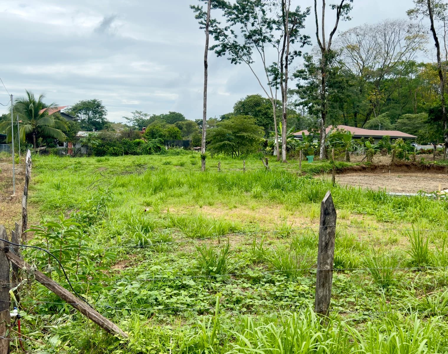 Land at Bahía Ballena