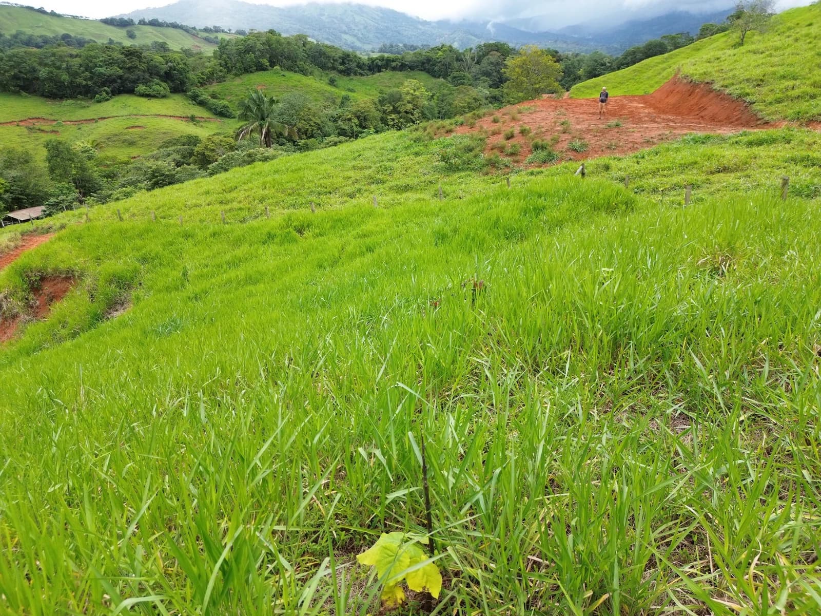 Land at Barú