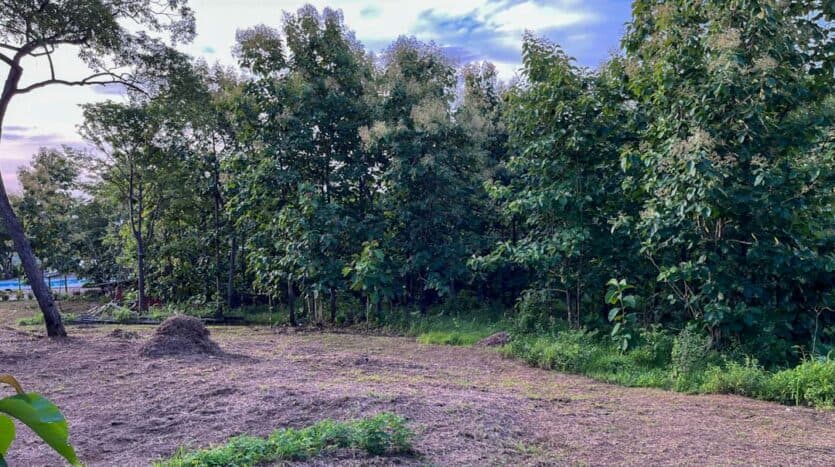Land at Playa Avellanas