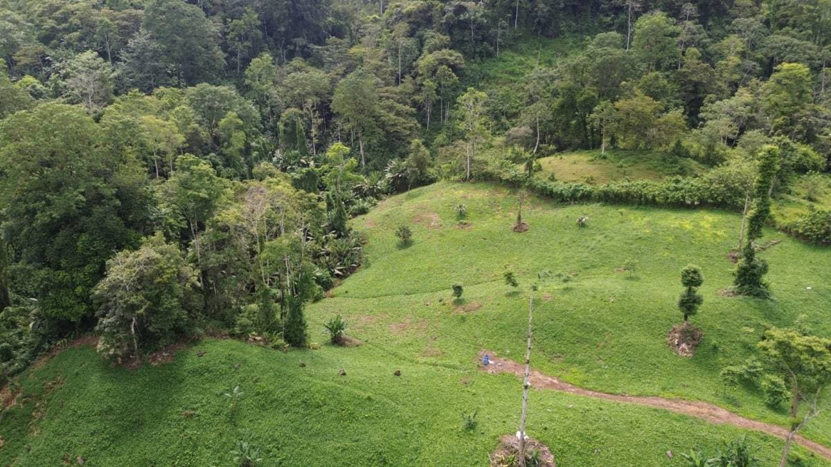 Finca en Turrialba