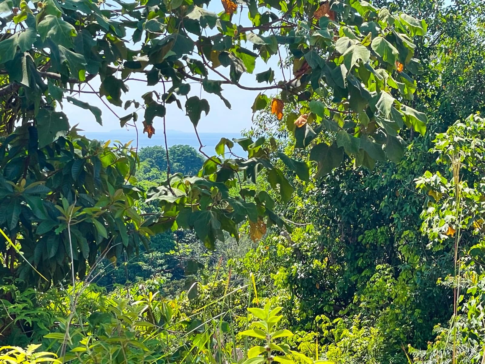 Land at Puerto Cortés