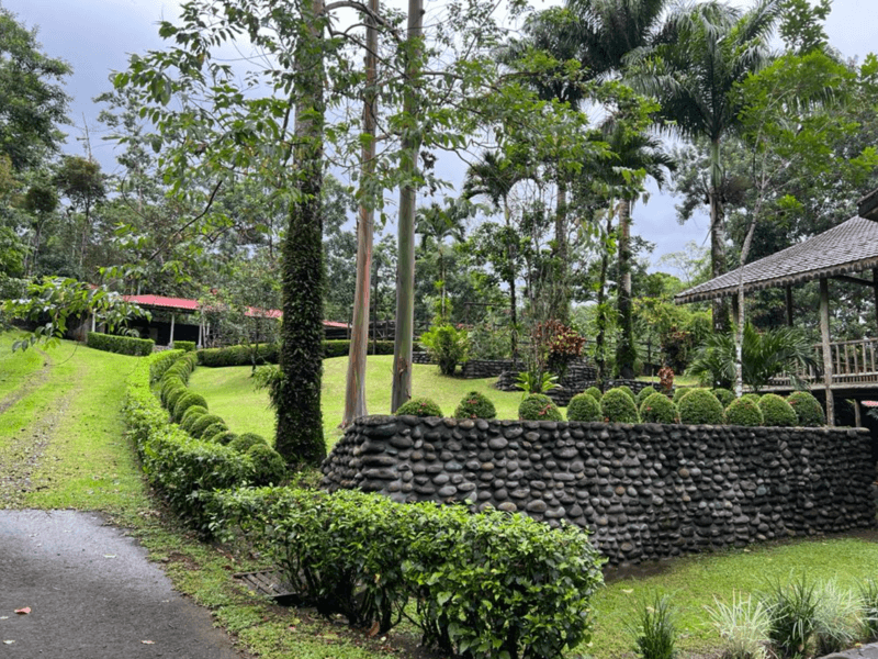 Property at San Ramón