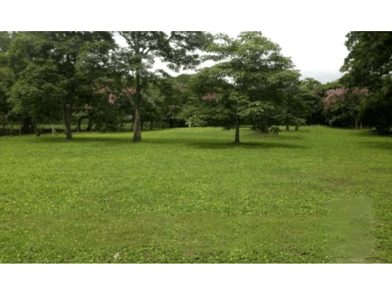 Propiedad en Alajuela