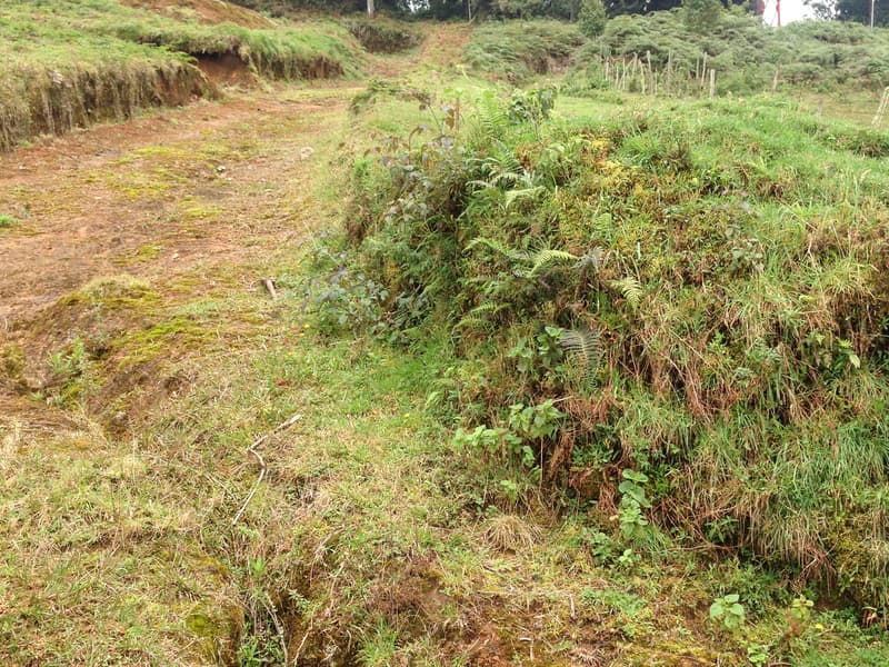 Terreno en Desamparados