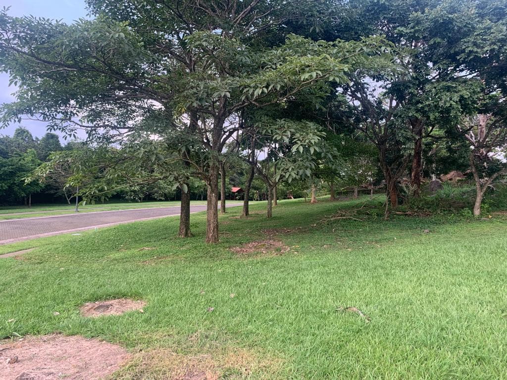 Propiedad en Ciudad Hacienda Los Reyes