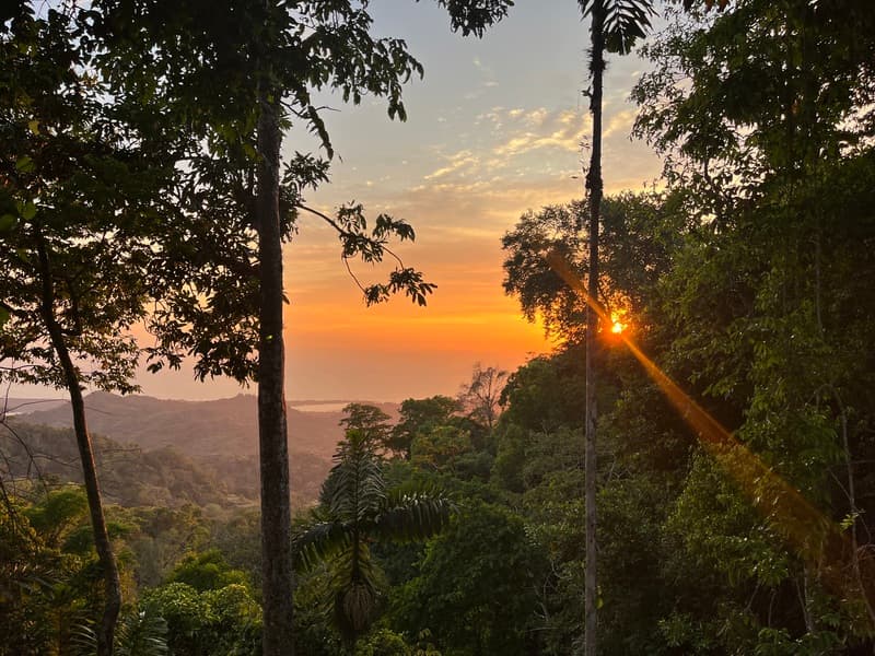 Land at Puerto Cortés