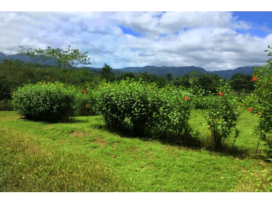 Propiedad en Alajuela
