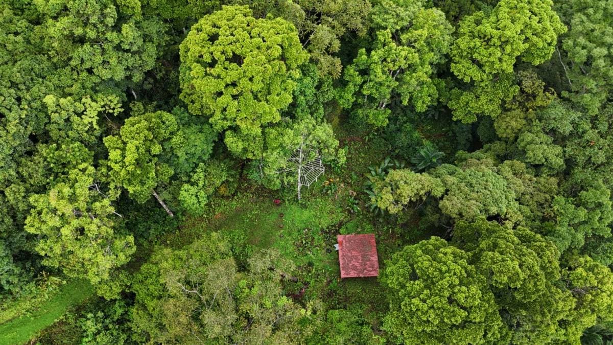 Estate at San Isidro del General