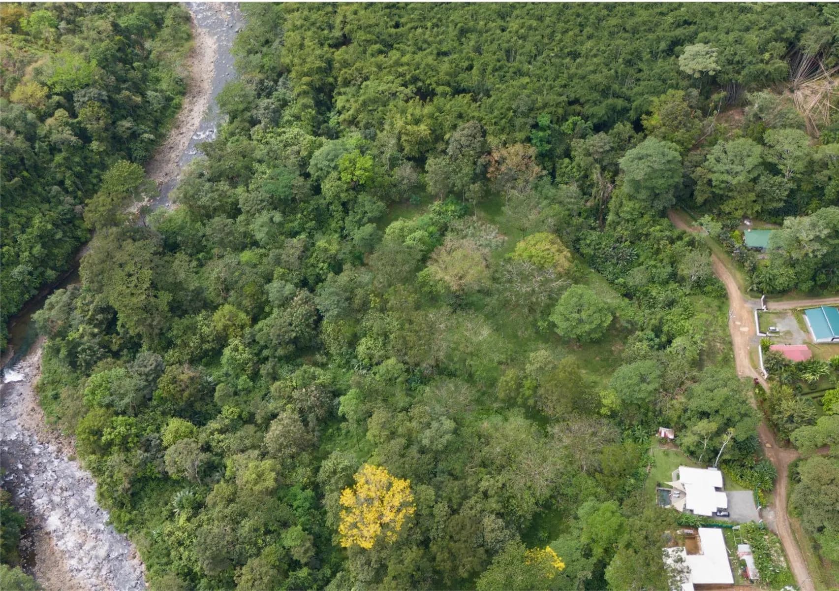 Terreno en Bahía Ballena