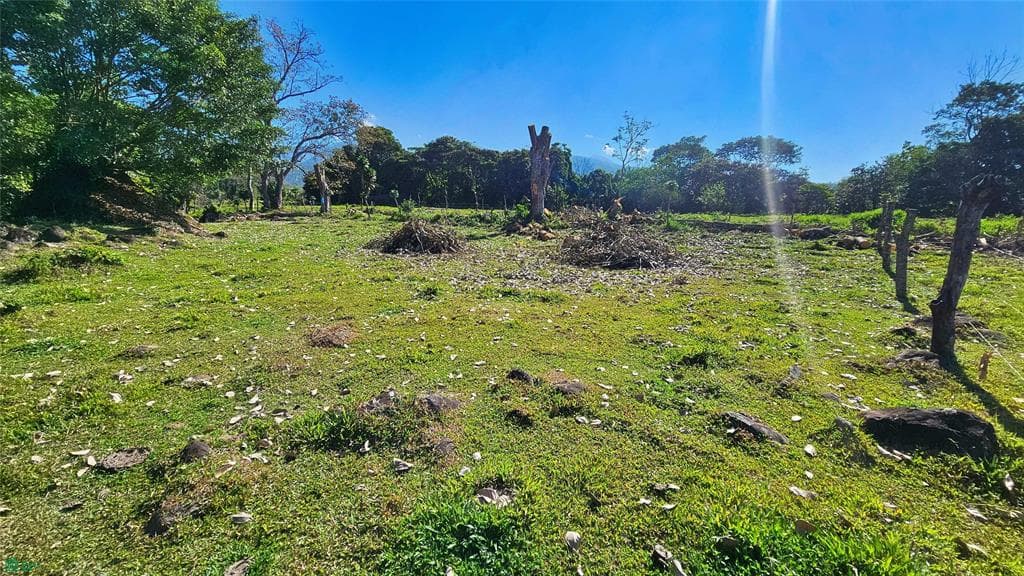 Property at Santa Elena