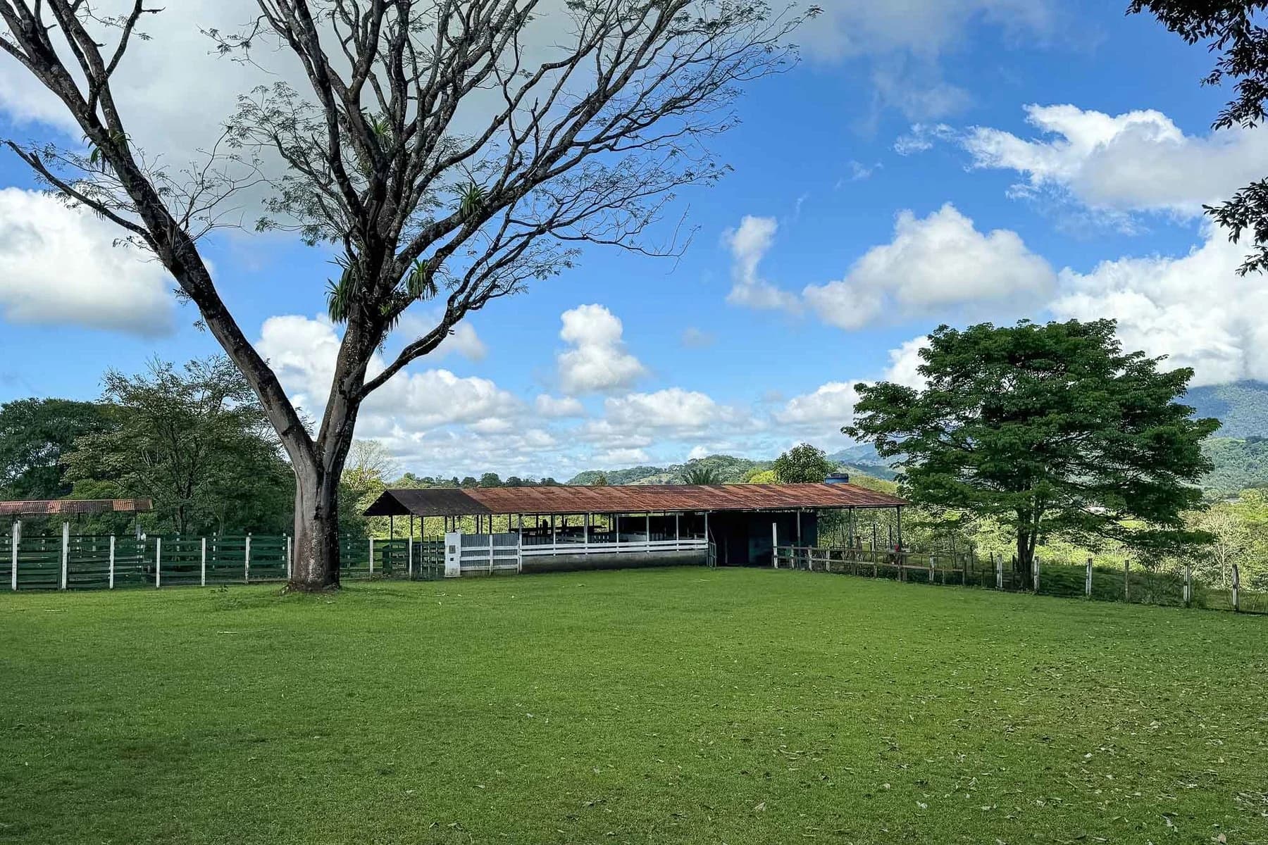 House at Naranjito
