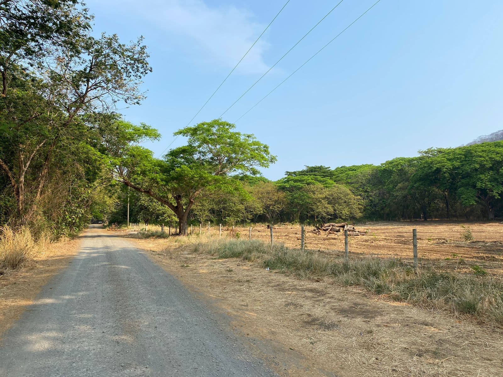 Terreno en Sardinal
