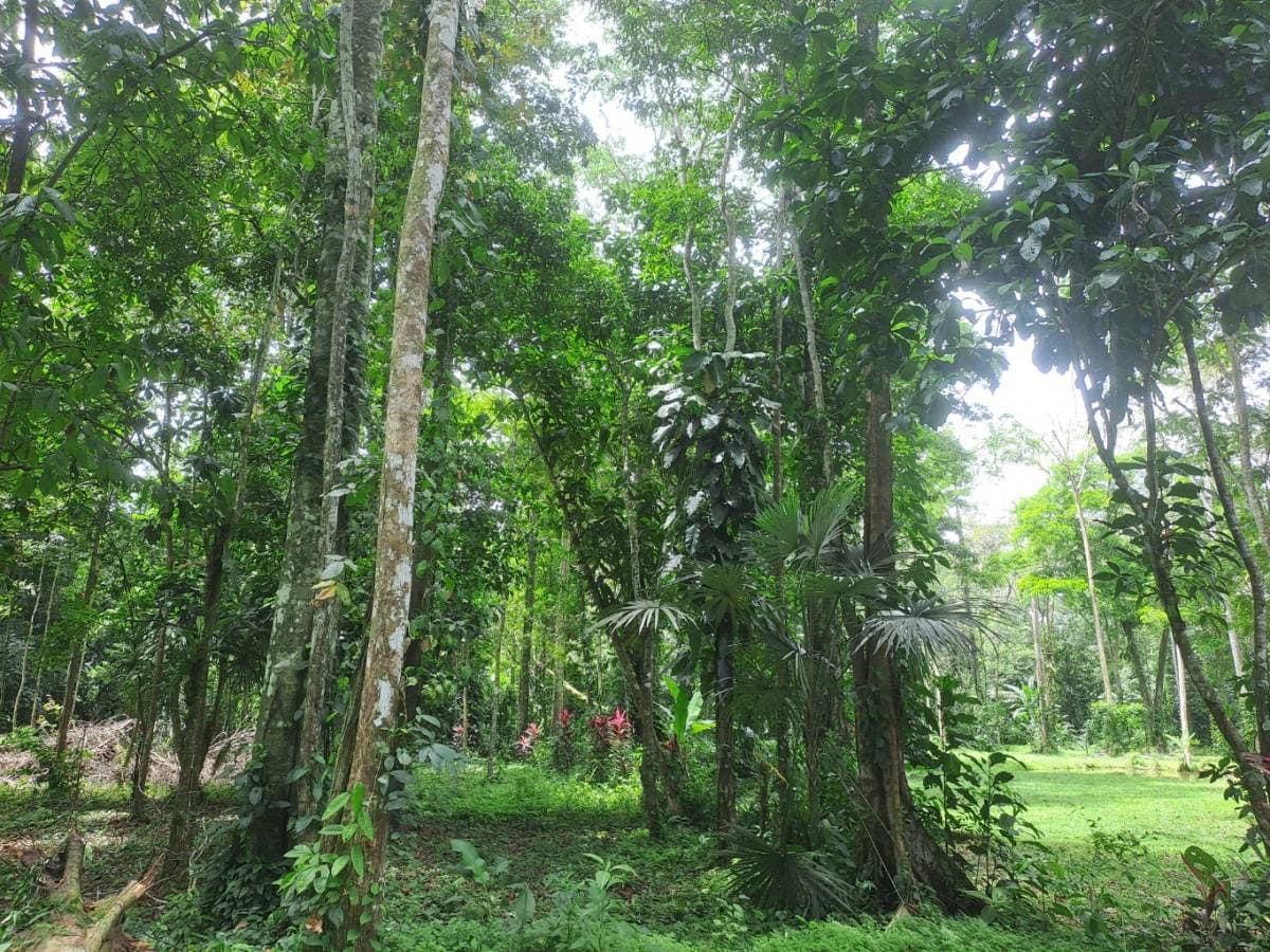 Property at Calle Paraíso