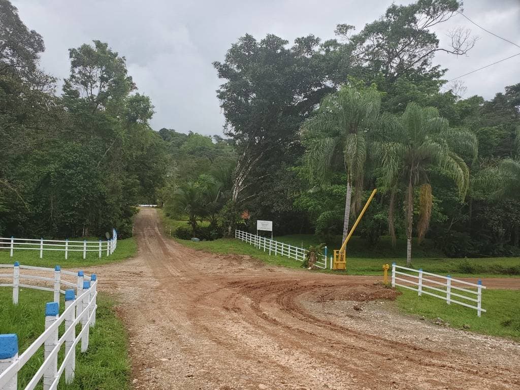 Property at Chontales